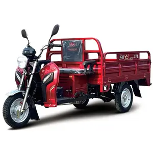 China Cheap 1.5m Wheel Fuel powered vehicles gasoline Tricycle Motor Large Capacity motorcycle 3 Wheel Cargo Tricycle