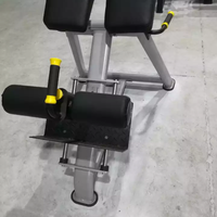 Machine d'entraînement fonctionnelle d'exercice de nouveau design vente en gros équipement de fitness de gymnastique commerciale banc romain réglable