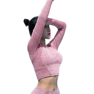 Ensemble 2 pièces-Mode féminine sans couture Gym Wear Women Workout Tracksuit Active Wear Gym Fitness Set - Product Image 6