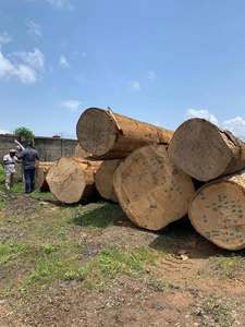 Bois de construction et planches en bois dur africain pour projets de construction - Product Image 6