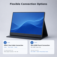 Moniteur portable USB-C 15,6 pouces OEM ODM FHD 1080P double Type-C, écran externe mini pour ordinateur portable, téléphone, PC