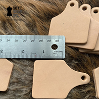 Nouvelles plaques d'identification en cuir de vache véritable OEM, 8 onces, tannage végétal, pour marquage artisanal, lot de 10 000
