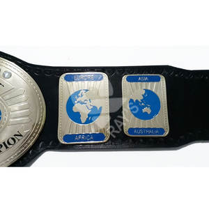 Cinturones de campeonato de lucha libre Trofeos Medallas y premios el símbolo definitivo de Victoria y excelencia Cinturones de Campeonato - Product Image 3