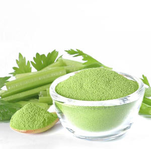 Poudre de feuilles de céleri séchées la plus vendue au prix le plus bas feuilles de céleri en poudre crue fabriquées au Vietnam - Product Image 1