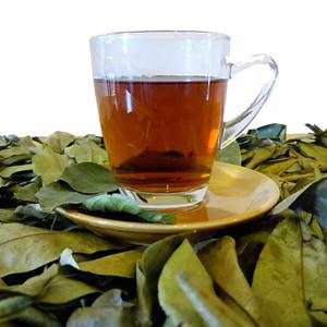 ใบทุเรียนเทศแห้งส่งออกจำนวนมากเก็บเกี่ยวและส่งออกจากฟาร์มเวียดนาม - Product Image 6