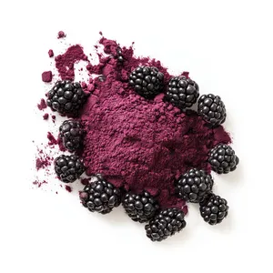 Suministro a granel al por mayor de polvo de mora deshidratado para aplicaciones cosméticas y nutracéuticas alimentarias a bajo precio - Product Image 4
