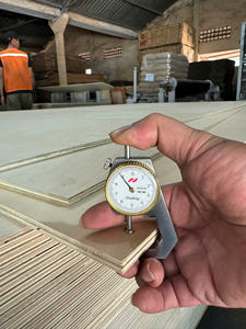 Contrachapado de Abedul de Alta Calidad de 12 mm/15 mm/18 mm de Vietnam para Uso en Interiores, E2 para Muebles Industriales, Gabinetes de Cocina, Corte Láser CNC - Product Image 3