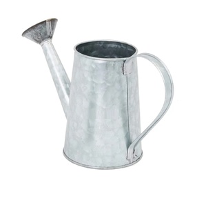 Plant Watering Can Luxury Design <b>silver</b> Color Modern Style Luxury Home & Garden Indoor Plants Watering Cans & Sprinklers - Product Image 4