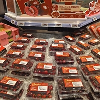 Conteneurs en plastique transparent pour tomates, fraises, fruits, cerises, légumes, jetables, boîtes en plastique pour tomates, cerises, fruits