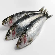 Sardinas Congeladas de Alta Calidad, Cuerpo Entero, Envasadas al Vacío, Nutritivas y Bajas en Carbohidratos, Mariscos en Venta - Product Image 5