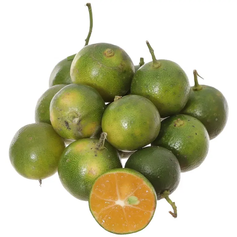 Fresh Kumquat Fruit For Ice Juice Tea / Green Kumquat Citrus With Honey From Vietnam