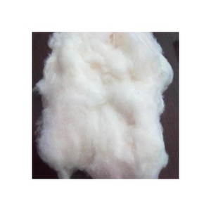 Giá cả cạnh tranh sợi bông thô để cung cấp kéo sợi cho các nhà máy và thương nhân quốc tế - Product Image 6