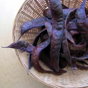 OFFRE CHAUDE FRUIT EN VRAC BLACK LOCUST PREMIUM FOURNISSEUR DE QUALITÉ BIOLOGIQUE PRÊT À L'EXPORTATION TOP VENTES EN GROS - Product Image 3