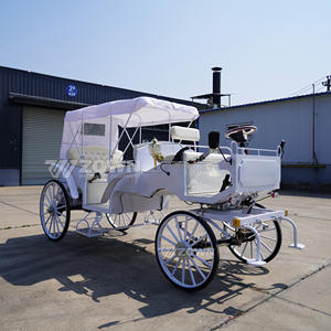 Carruaje DE BODA tirado por caballos de estilo europeo de 4 ruedas eléctrico de color personalizado para visitas familiares, viajes de entretenimiento deportivo - Product Image 5