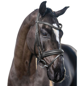 Bride de dressage Sports et divertissement Extérieur abordable Bride de course de chevaux de luxe - Product Image 4