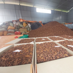 Délice biologique de qualité supérieure Explorez le meilleur de l'anis séché du Vietnam - Product Image 6