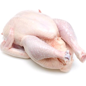 Premium Frozen <b>Chicken</b> Body Nutritious Low-Salt Grade a Available for Bulk Supply with Tender Meat - Product Image 3