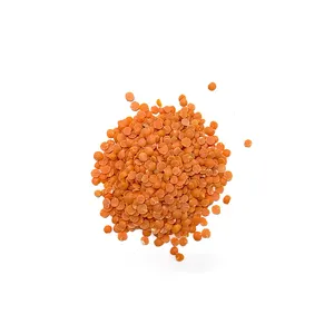 Wholesale Quantity Good Rates High Protein Pulses Split Whole Red Football Lentils Without Husk