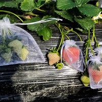 Sac de protection en filet personnalisé pour fruits, anti-insectes, anti-oiseaux, respirant, avec cordon de serrage, pour nèfles, raisins, pêches, myrtilles