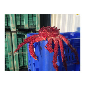 ชุดปูจักรพรรดิชิลีส่งด่วน ราคาโรงงาน สำหรับโปรแกรมการจัดซื้อ - Product Image 3