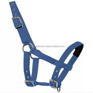 Nouvelle arrivée licou cheval en nylon bleu léger à bas prix en plusieurs couleurs et tailles personnalisées avec quincaillerie en acier inoxydable nickel - Product Image 3