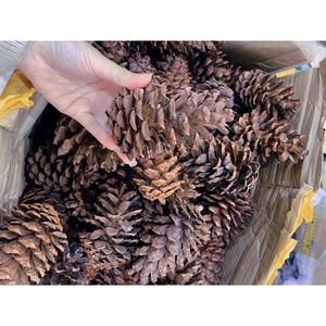 ต้นคริสต์มาสแบบแขวนตามธรรมชาติของเวียดนามเครื่องประดับทรงโคนต้นสนทรงกรวยสำหรับตกแต่งเทศกาลคริสต์มาส - Product Image 3