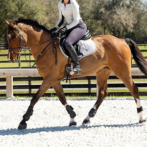 Estribos de Acero Inoxidable para Montar a Caballo en Venta al por Mayor a Precio Económico, 100% de Alta Calidad, los Mejores Estribos para Caballos - Product Image 2