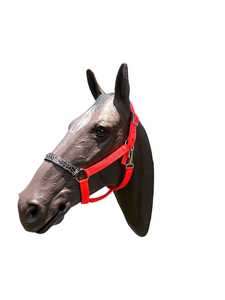 Premium Haute Qualité Équestre En Cuir De Vachette Bride Headstall Et Collier De Poitrine Rouge Tack Cheval Ensemble De Luxe Cheval Tack Ensemble - Product Image 3