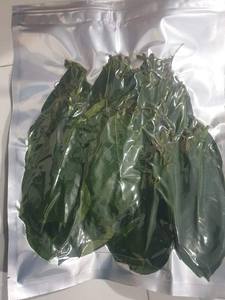 Fournisseur entier Feuilles de corossol séchées Récolte en vrac de feuilles de plantes sauvages/Graviola naturel - Product Image 3