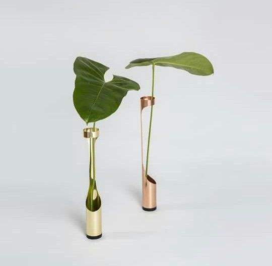 ตามที่แสดง