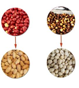 NUTMAKSAN Machine à peler les noix de haute qualité en acier inoxydable 304 pour noisettes, cacahuètes, pistaches NUT-SPA 1600 Capacité 1600 kg/h - Product Image 3