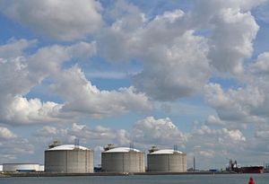 LNG คุณภาพสูง แรงดันออกแบบ 1 MPa อุณหภูมิใช้งาน 1-2 องศาเซลเซียส รับประกัน 5 ปี สำหรับการผลิตพลังงานและการใช้งานในอุตสาหกรรม - Product Image 4
