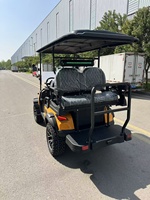 Voiturette de golf électrique robuste pour 2 personnes avec une longue autonomie de la batterie