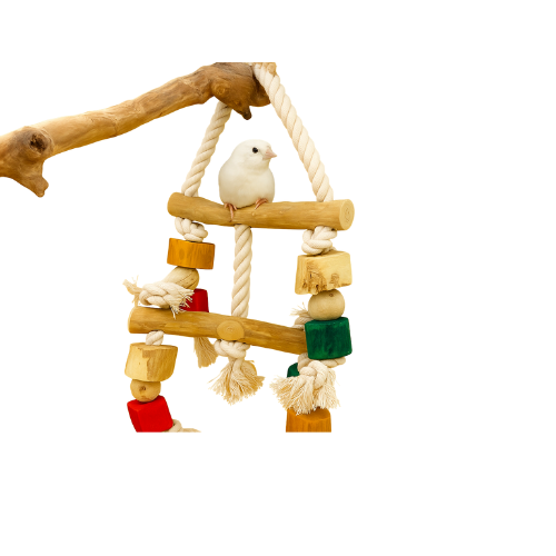 ธรรมชาติ