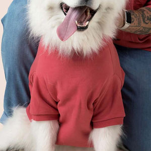 Wholesale <b>Dog</b> Clothes Solid Color Luxury Custom Fashion <b>Hoodies</b> Lightweight Different Style Professionally <b>Dog</b> <b>Hoodies</b> - Product Image 4