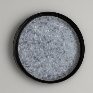 <b>Crystal</b> Pearl Resin Charger Plate With Smooth Glazed Surface And Gentle Opalescent Shine For High-End Dining Aesthetics - Product Image 5
