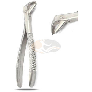 Pince d'extraction dentaire manuelle de haute qualité #73 motif anglais en acier inoxydable de qualité supérieure certifiée CE garantie de 5 ans - Product Image 1