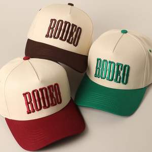 Gorra de béisbol ajustada con bordado 3D Unisex 2025, gorra deportiva Premium de 6 paneles con estampado de leopardo, logotipo personalizado para niñas - Product Image 6