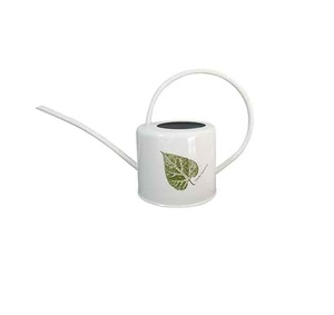 Diseño único Hierro galvanizado Lata de agua Diseñador personalizado Hecho a mano Mejor lata de agua Precio bajo Suministros de jardín Regadera - Product Image 4