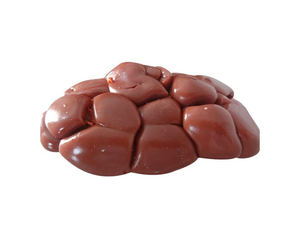 Riñones de ternera seleccionados en envasado al vacío individual, cuidadoso control de calidad ecológico Halal - Product Image 6