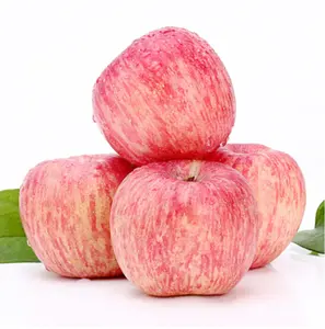 2024 nouvelle récolte frais pomme rouge fruits frais Fuji Apple prix usine pommes rouges