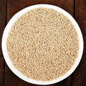 Graines de sésame naturelles brutes de qualité supérieure en gros, durée de conservation de 18 mois, pour la transformation alimentaire et la cuisine saine, nouvelle récolte du Royaume-Uni - Product Image 3