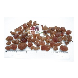 Meilleur Grade 100% Gomme Poudre D'acacia Sénégal Poudre Soudan Gomme Traitement Arabe Prix Compétitif Poudre D'acacia - Product Image 2