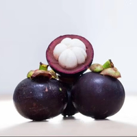 Vietnam Premium Verse Mangosteen Tropisch Superfruit Groothandel Export Aanbod