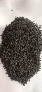 Semilla de albahaca, producto de la mejor calidad, exportador y fabricante de Vietnam - Product Image 4