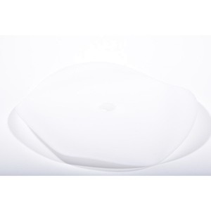 LW18226-Disco de diafragma PTFE para AH40 PTFE Perswing P-NUEVO - Product Image 1