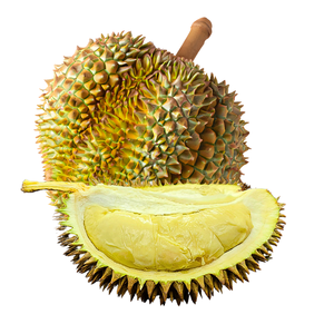 Durian congelado IQF: Granja fresca, envasada al vacío, sin OGM, estándar de exportación, suministro de gran cantidad, sin conservantes/Sra. Lima - Product Image 1