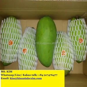 Ucuz fiyat ile taze meyve MANGO 8KG/karton ihracat-HP 0084 917 476 477
