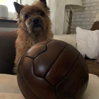 Ballon de football miniature 18 panneaux en cuir véritable fait main pakistanais, style ancien, vintage, avec logo personnalisé Winners International