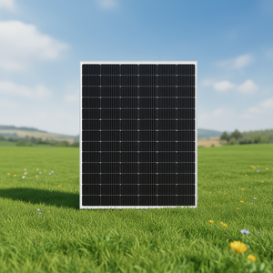 Panneau solaire monocristallin en silicium Top Solar TS-FS150M - Product Image 3